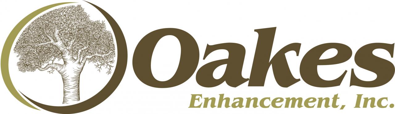 Oakes Economic Development