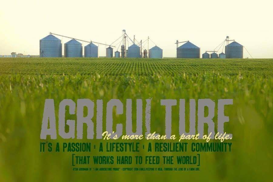 Ag Education/FFA Advisor at Southeast Region Career and Technical Center