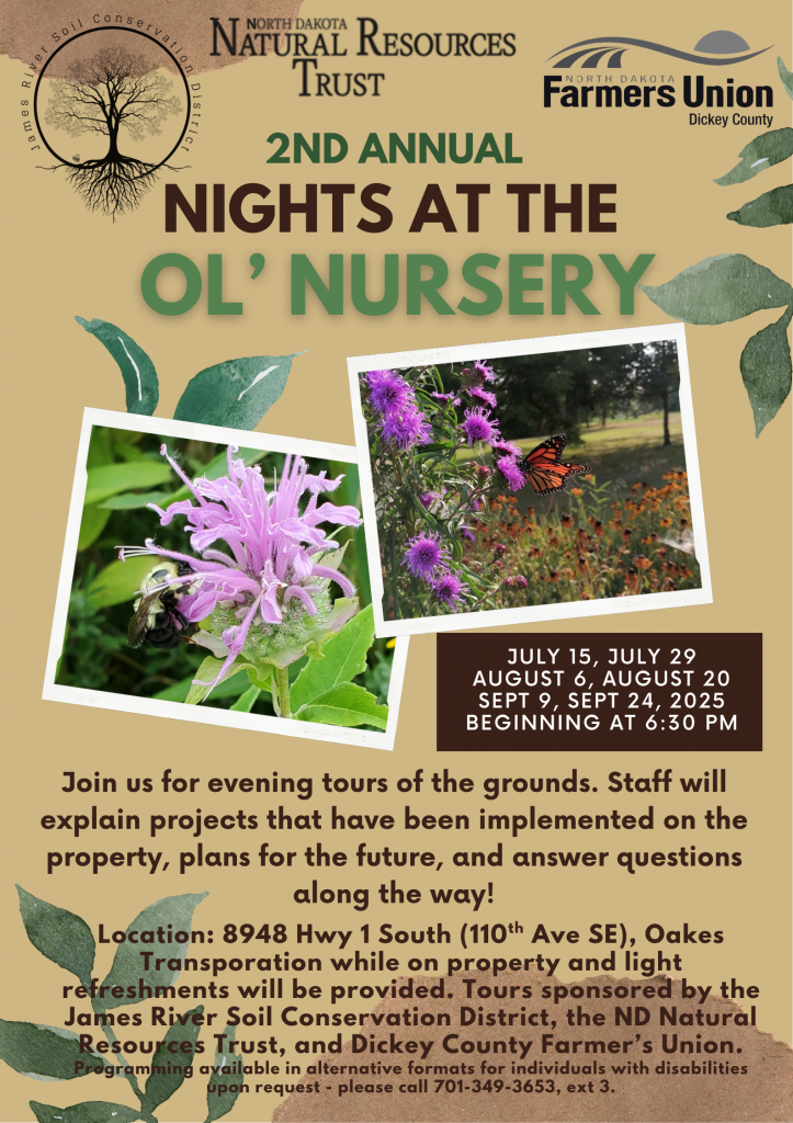 Nights at the Ol' Nursery